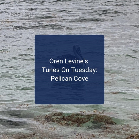 Oren Levine's Tunes On Tuesday: Pelican Cove