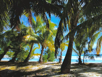 Tunes on Tuesday: Bend Don’t&nbsp;Break