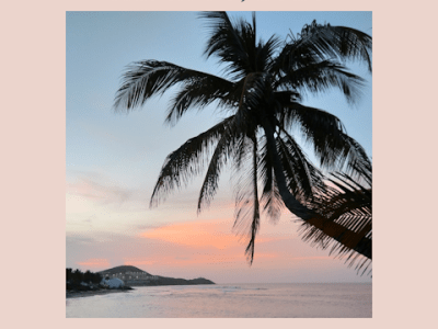 Tunes on Tuesday: Island in the&nbsp;Sea